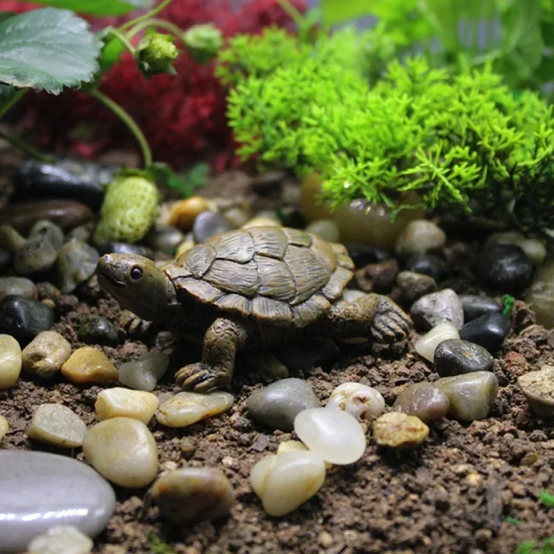 Resin Simulation Small Turtle  - Succulent Set ulasan dan harga