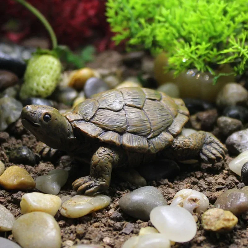 Resin Simulation Small Turtle  - Succulent Set ulasan dan harga