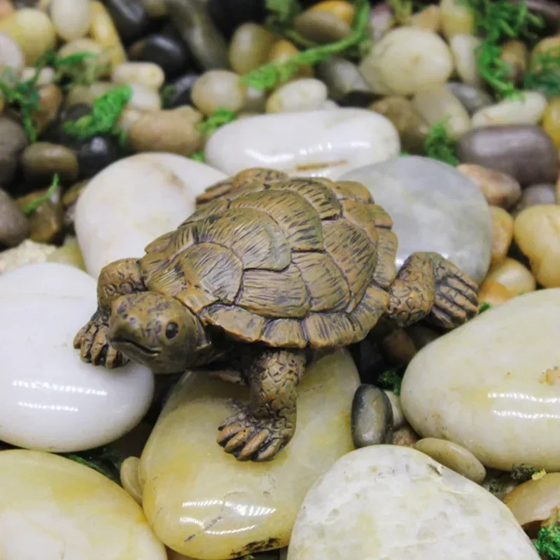 Resin Simulation Small Turtle  - Succulent Set ulasan dan harga