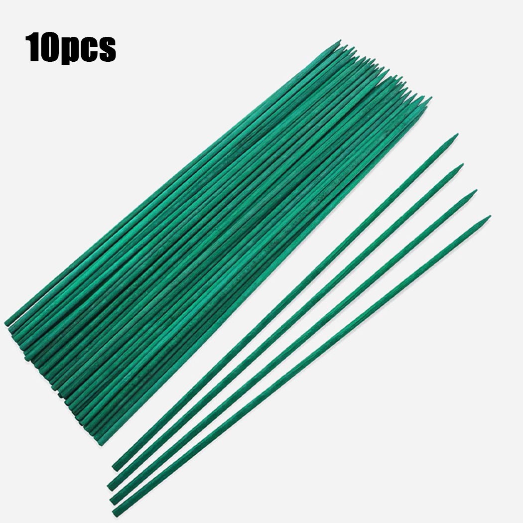 10pcs 40cm Green Plant Support - Plant Support Stake ulasan dan harga