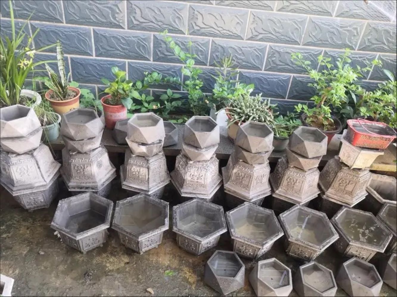 Plastic Succulent Planter Mold - Succulent Set ulasan dan harga