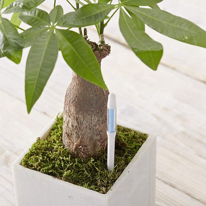 Aquameter, 5pcs, Plant Soil Mo - Indoor Plants ulasan dan harga
