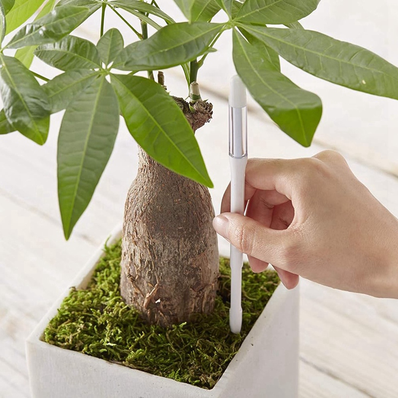 Aquameter, 5pcs, Plant Soil Mo - Indoor Plants ulasan dan harga