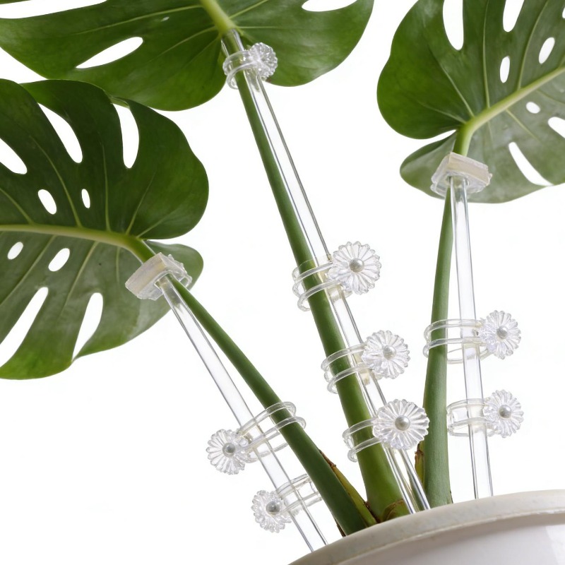 Reusable Clear Flower Support  - Plant Support Stake ulasan dan harga