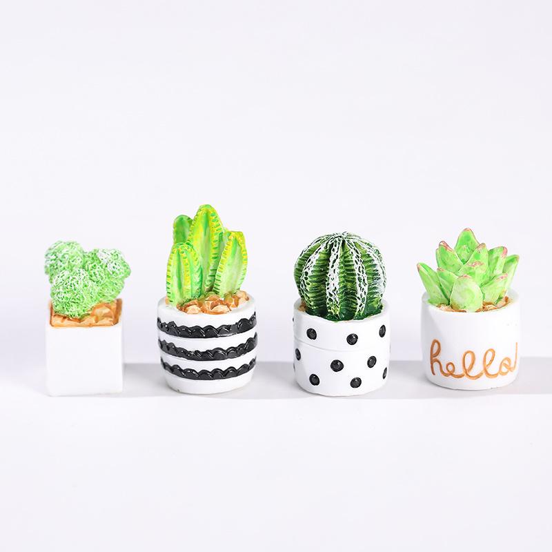 4-Piece Set of Cactus Succulen - Succulent Set ulasan dan harga