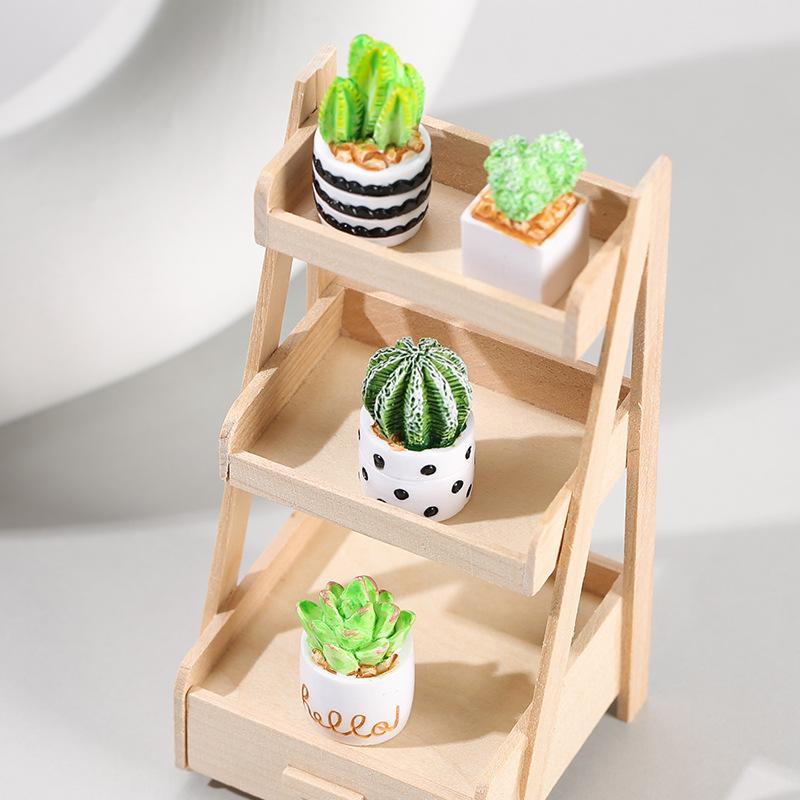 4-Piece Set of Cactus Succulen - Succulent Set ulasan dan harga